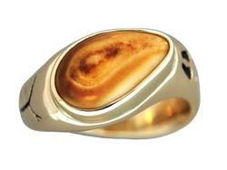 Gents Elk Ivory Ring