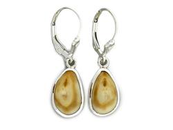 Elk Ivory Earrings 14K Yellow Gold