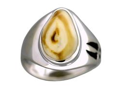Ladies Elk Ivory Ring 14K White Gold